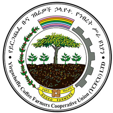 Yirgacheffe Coffee Farmers Cooperative Union (YCFCU) 